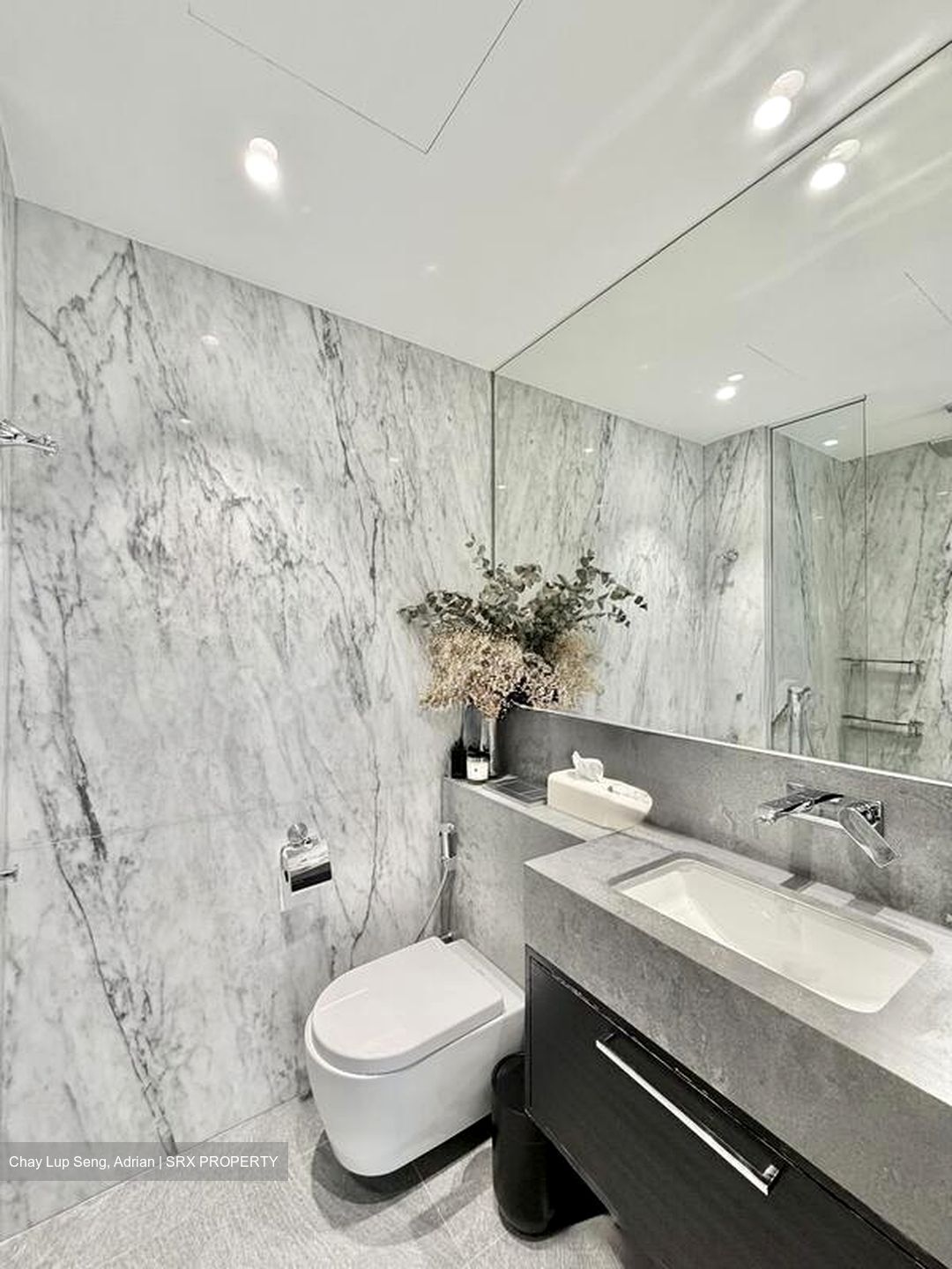 The Vermont On Cairnhill (D9), Apartment #501378111